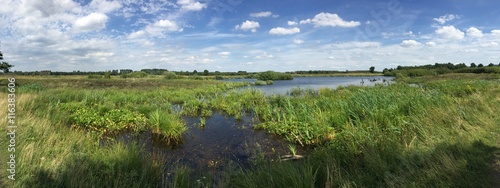 Bilde på lerret Moorgebiet im Panorama