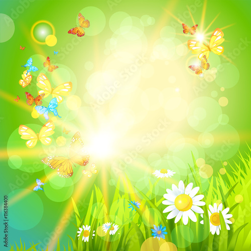 Positive summer background with flowers