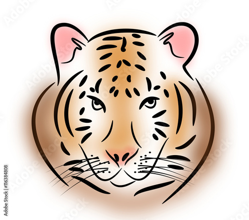 Fototapeta Naklejka Na Ścianę i Meble -  Tiger head illustration