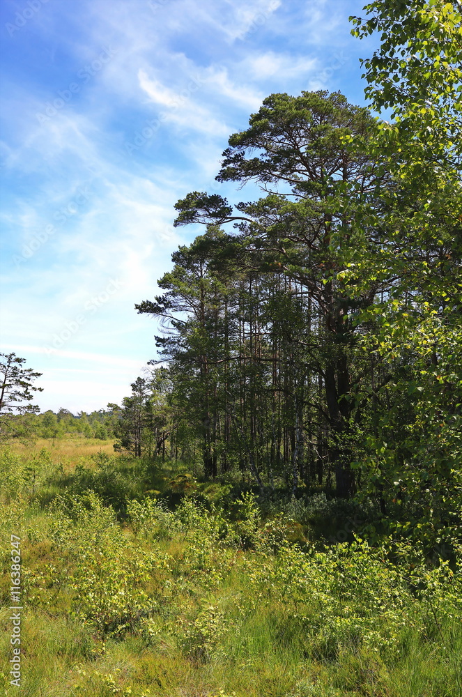 Fototapeta premium Bad Wurzach
