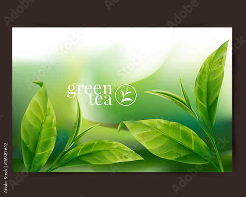 Green tea leaf