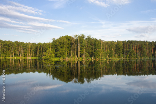 Las nad jeziorem Soczewka