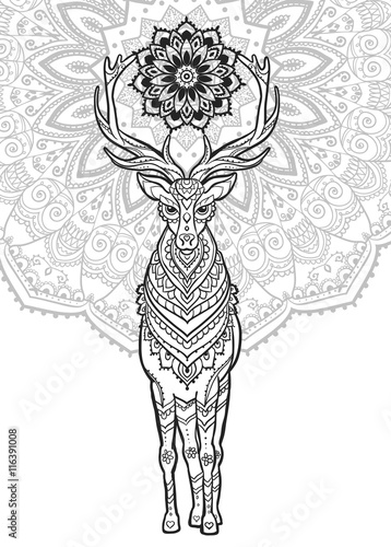 Beautiful card vector