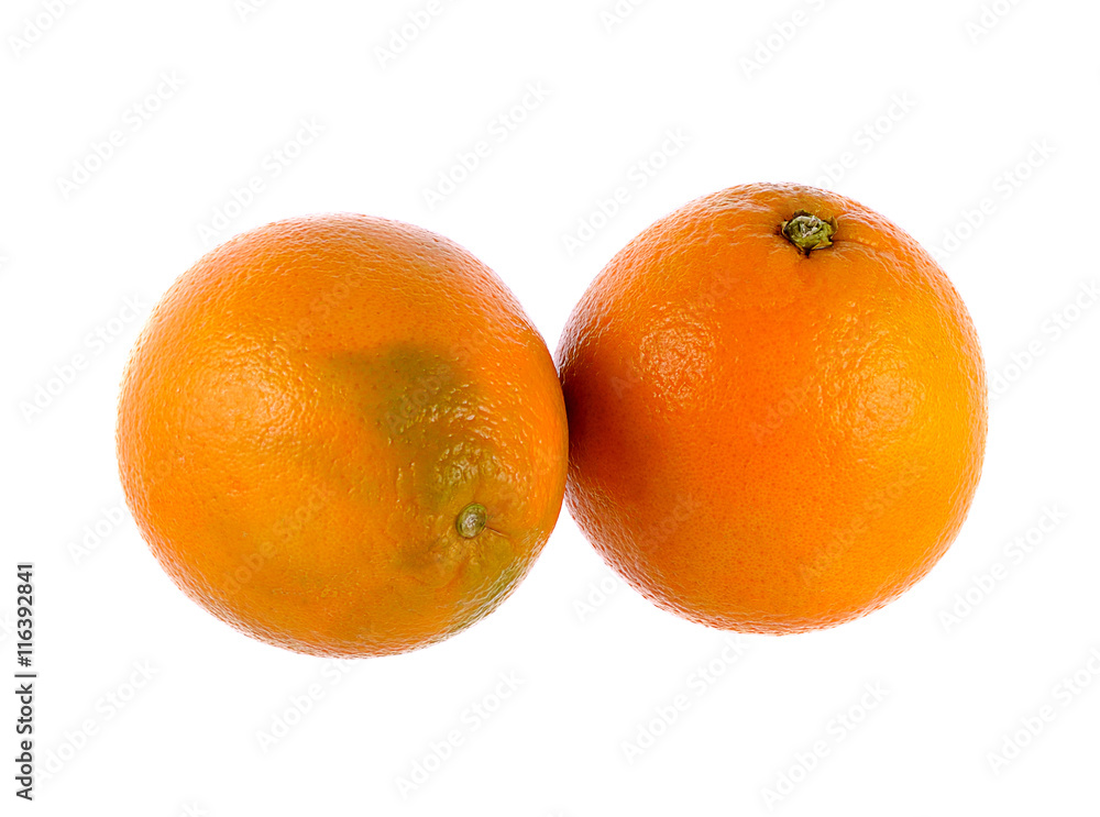 Sweet oranges on white background Sweet oranges on white background
