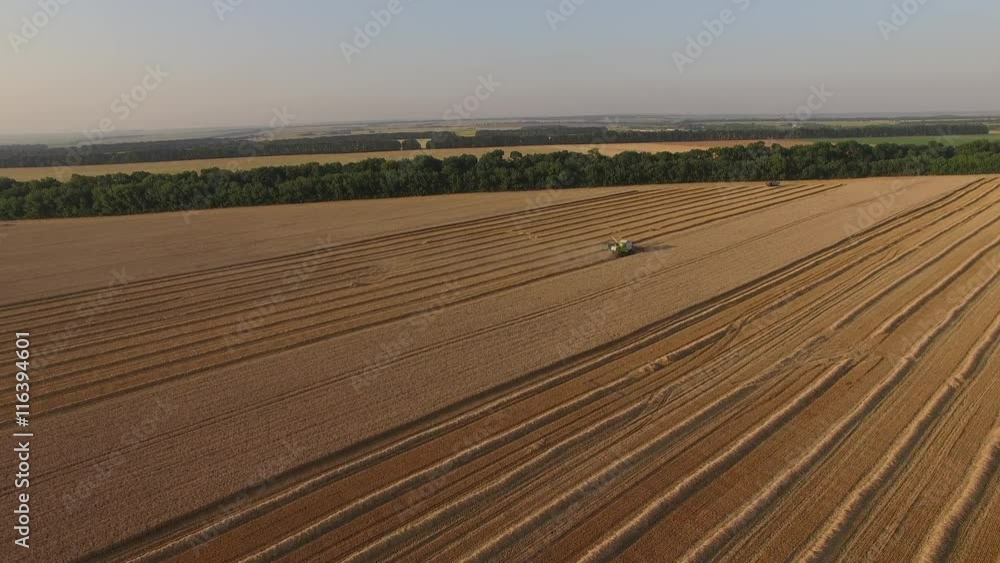 Harvester threshing wheat aerial view from afar. Harvester threshing wheat aerial view from afar.