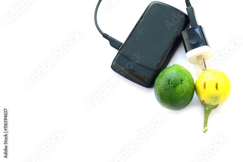 green power concept by lemon and eggplant  battery charger photo