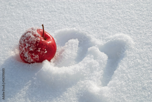 Red apple on snow