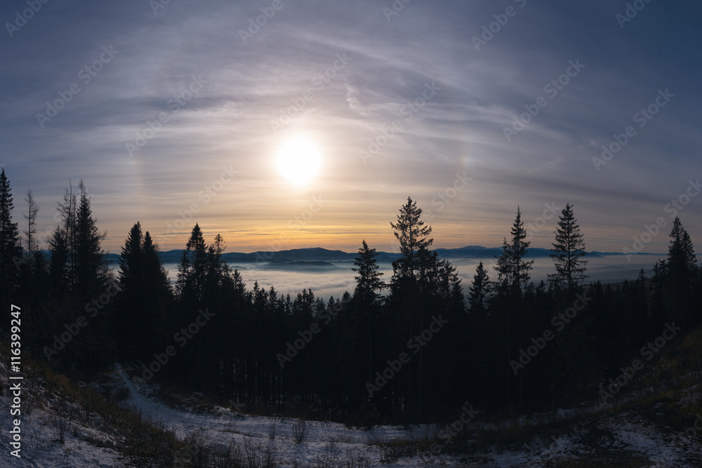 Halo na słowacji