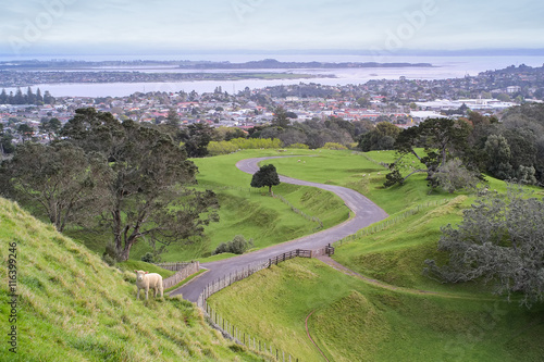 One Tree Hill park in Auckland, New Zealand