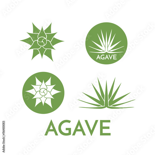 Agave plant green flower logo colorful vector illustration