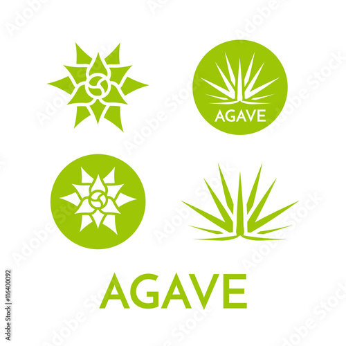 Agave plant green flower logo colorful vector illustration