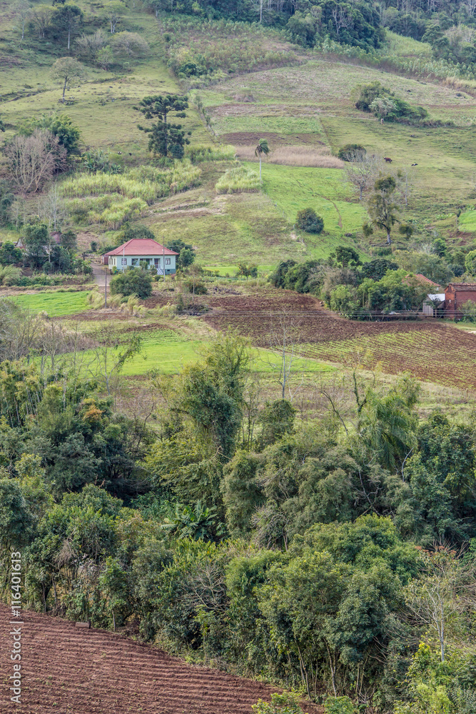 Fototapeta premium Farm and mountain