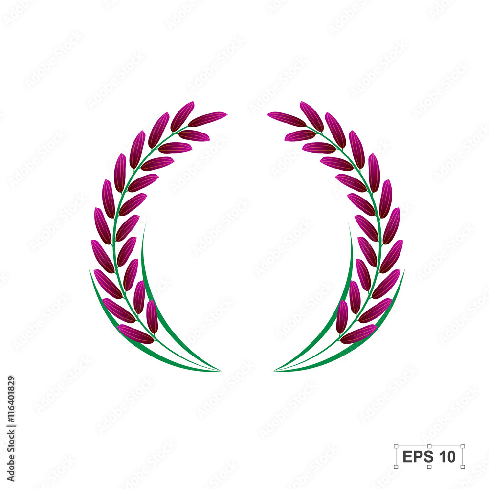 Obraz premium Rice,Riceberry,Vector illustration