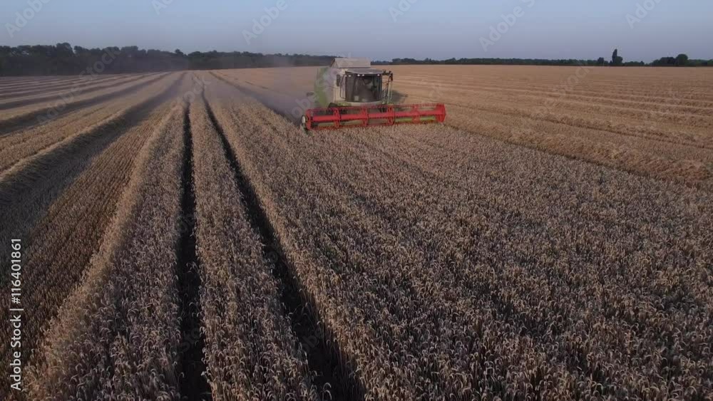 Combaine harvester threshing a wheat Combaine harvester threshing a wheat