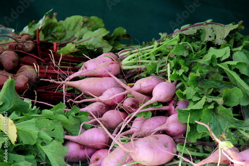 Pink and red variety of just picked turnips for sale at local farmers market.
