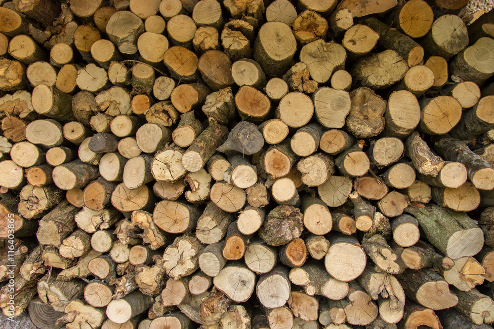Logs stacked after trees have been felled. Cross section of the timber, firewood stack Logs stacked after trees have been felled. Cross section of the timber, firewood stack