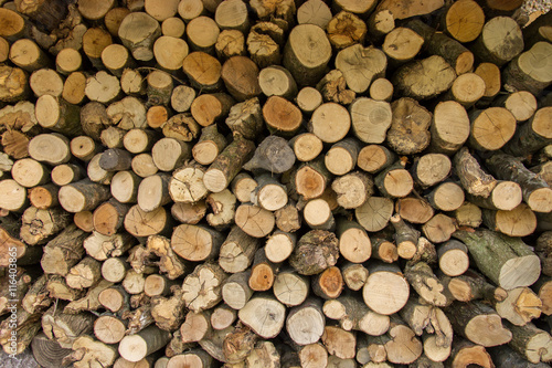 Logs stacked after trees have been felled. Cross section of the timber  firewood stack