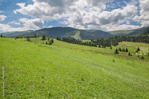 Beautiful nature scenery with green meadow and mountain range