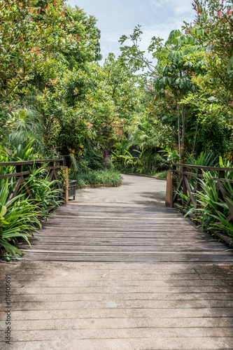 Small wooden bridge in garden