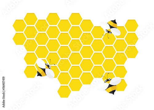 bees on honey comb