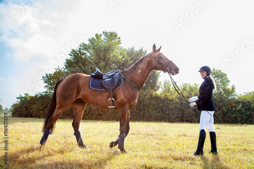 Beautiful girl jockey stand next to her brown horse wearing special uniform on a blue sky and yellow field background on a sunny day. Equitation sport competition and activity.