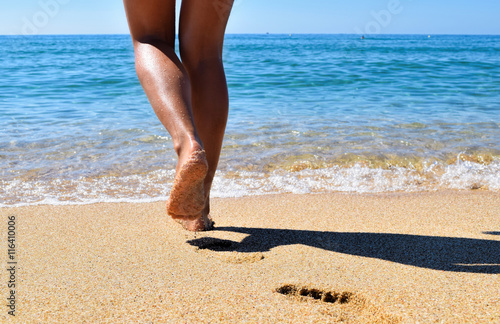 summer, beach, leisure and body part concept - closeup of woman legs on sea, woman goes to the sea