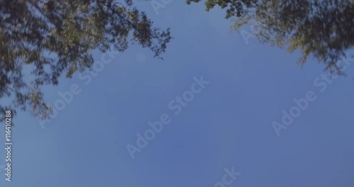 360Grad Rundshot im Wald gegen den Himmel im Sonnenlicht. Zu sehen sind Baumwipfel im Wind mit klarem Himmel und Sonnenlicht. 4K Auflösung photo