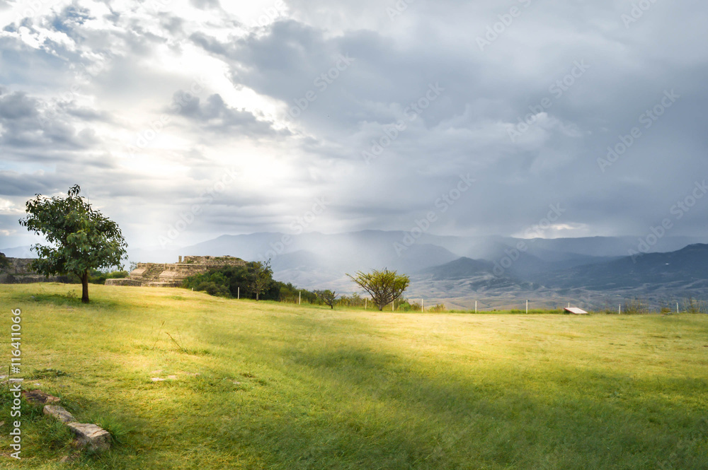Fototapeta premium Tree and mountainous landscape by Hierve el agua hot springs near Oaxaca, Mexico