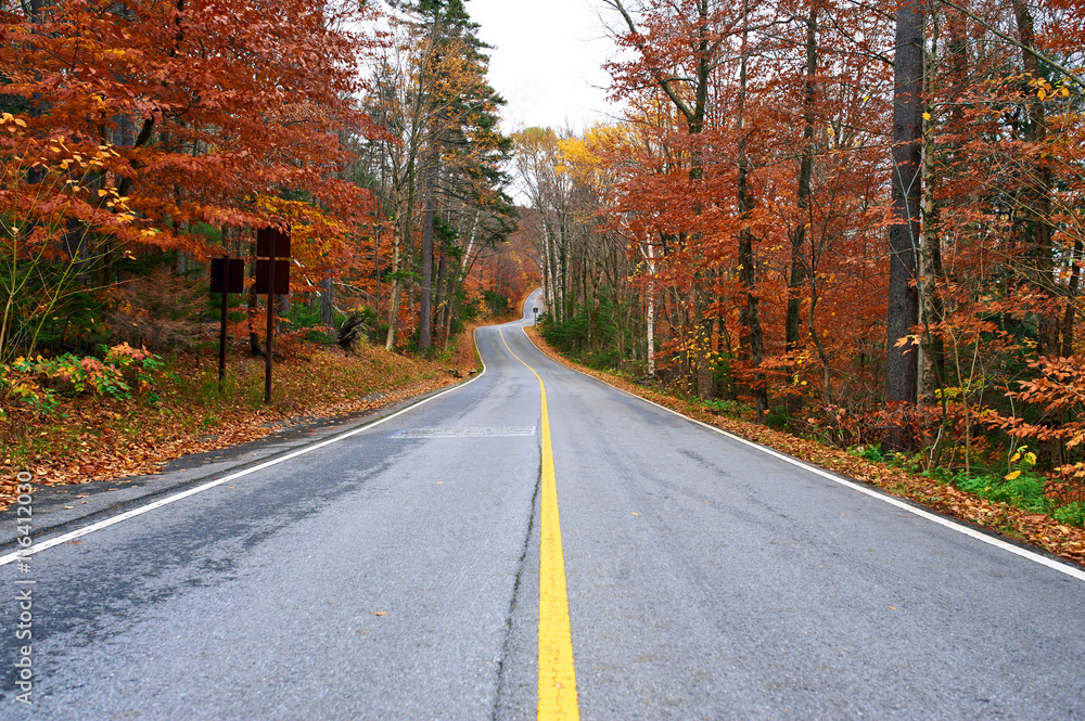 Obraz premium Autumn scene with road