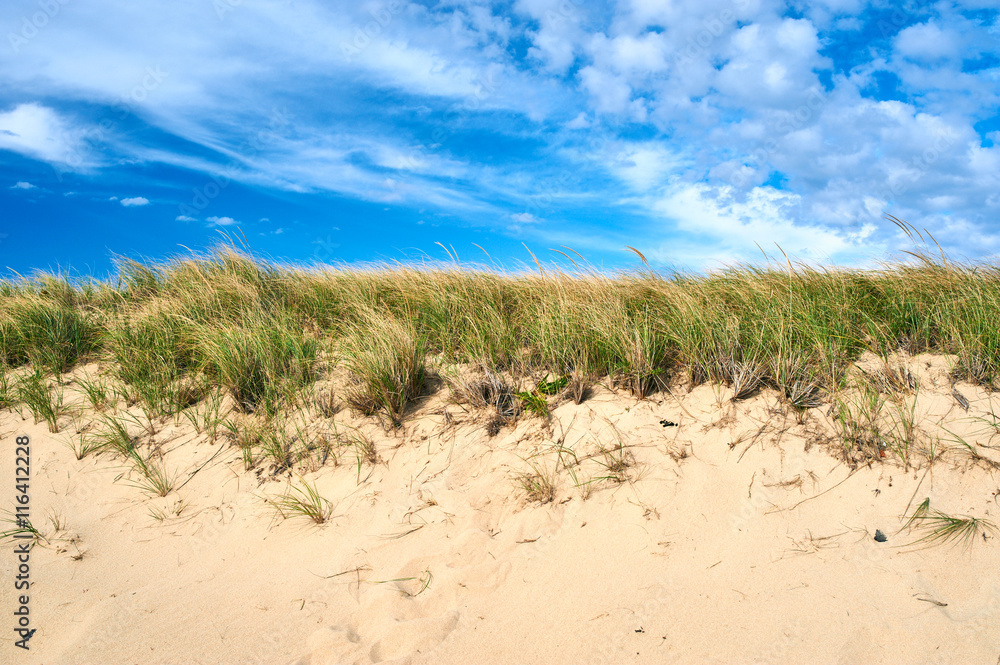 Landscape with sand dunes at Cape Cod Landscape with sand dunes at Cape Cod