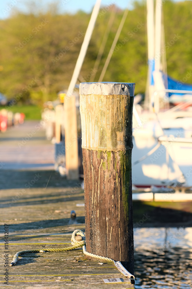 Fototapeta premium Marina on Lake Cayuga