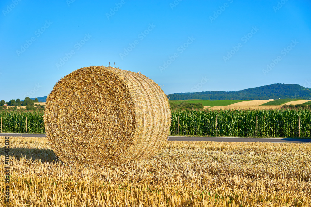 straw bales on a field / summer harvesting in germany straw bales on a field / summer harvesting in germany