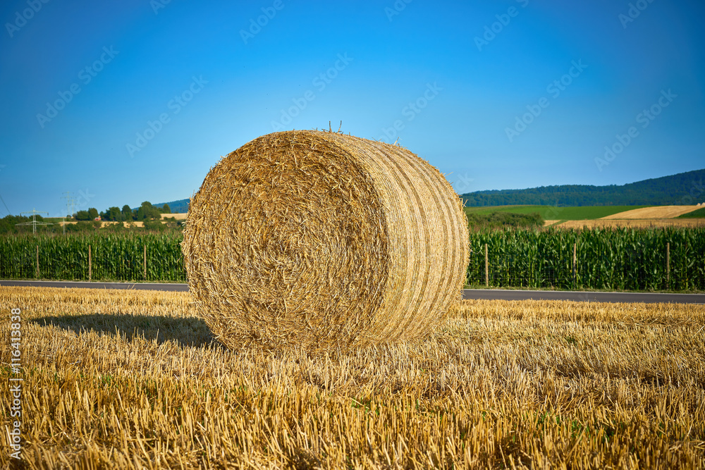 straw bales on a field / summer harvesting in germany