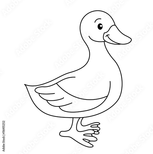 Coloring book with animals farm, duck vector