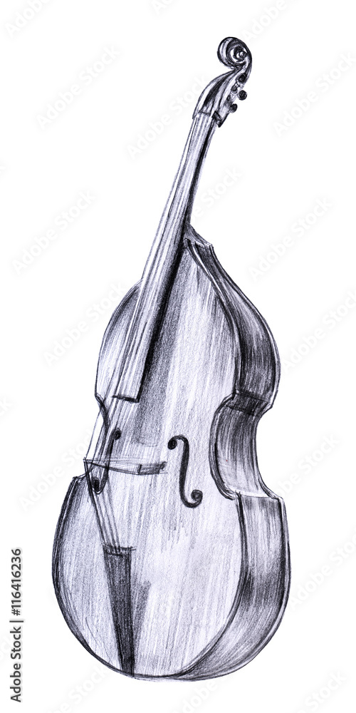 Double Bass And Cello drawing free image download