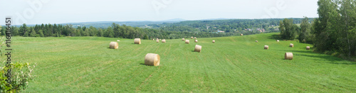 hay bale panoramic green field rural landscape
