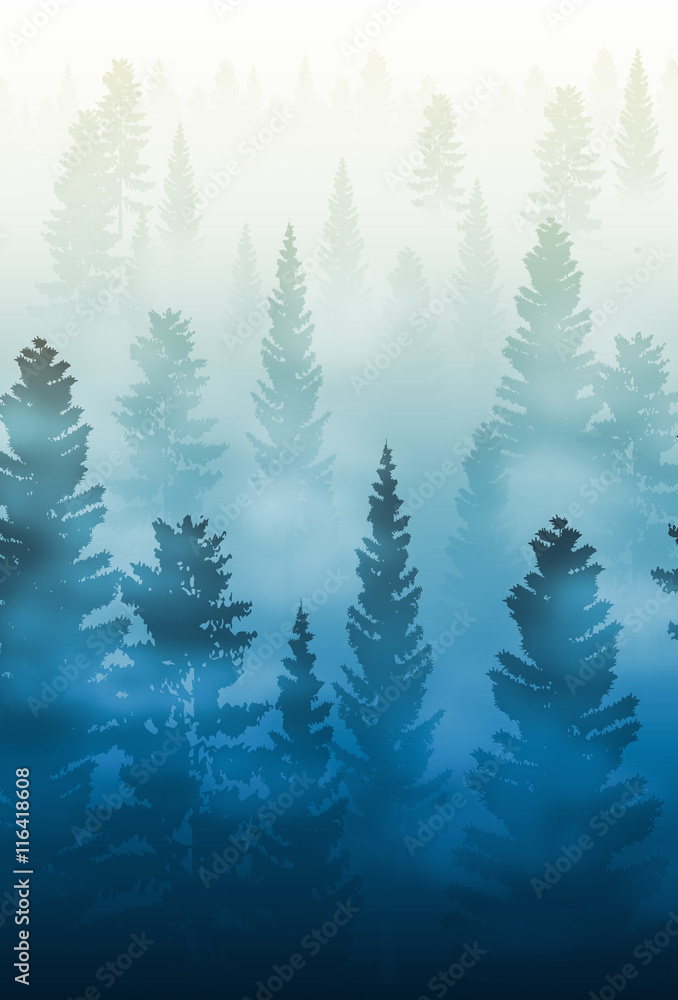 Fototapeta premium misty forest landscape, foggy forest landscape