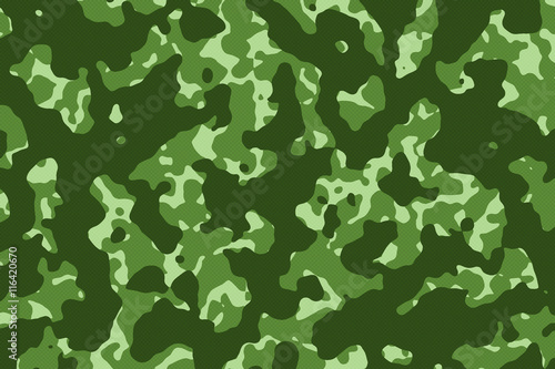 Green Camouflage Texture