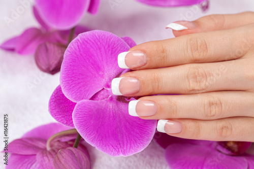Beautiful female hand with french manicure on purple orchid flowers