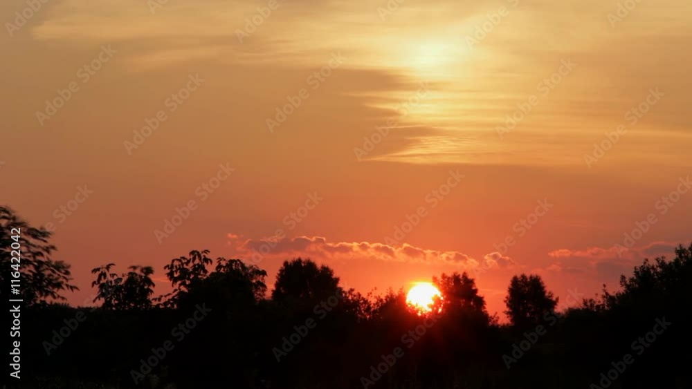 Fence line against beautiful golden sunset Fence line against beautiful golden sunset