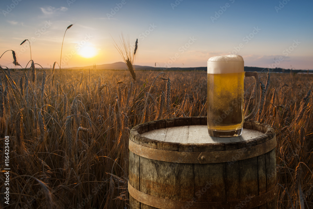 excellent light beer on a wooden table in a landscape