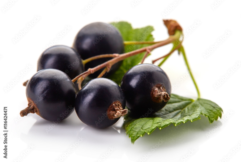 Ripe blackcurrant isolated on white Ripe blackcurrant isolated on white