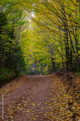 Fall Road in rural Prince Edward Island