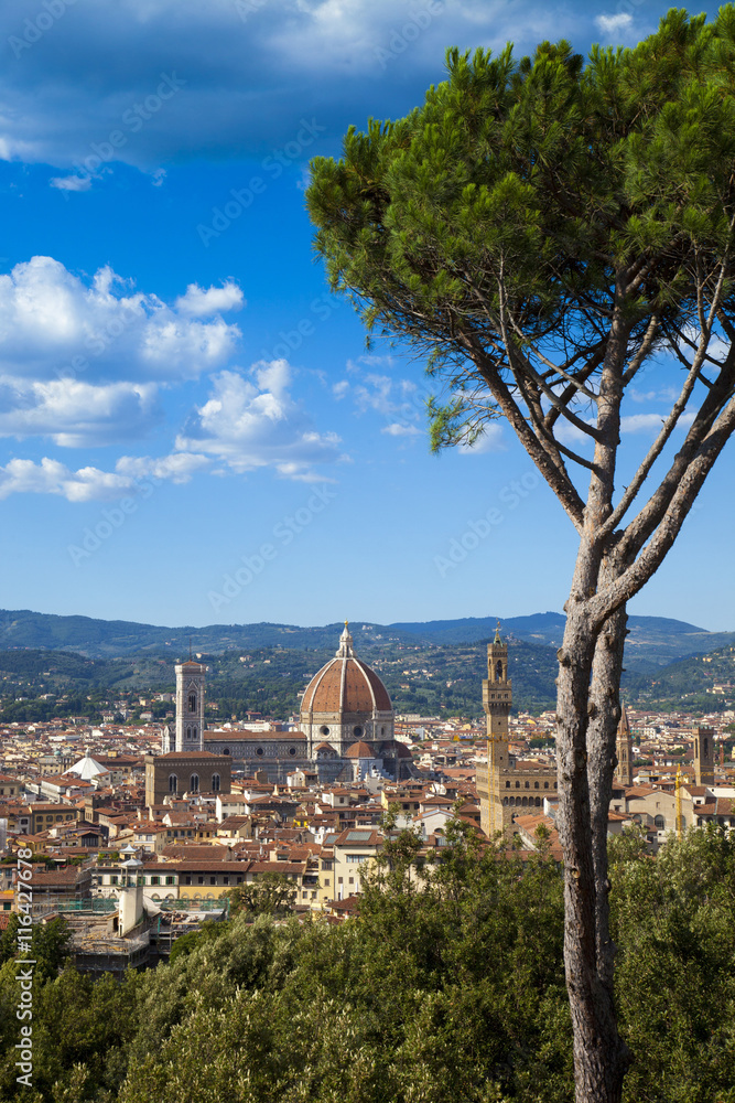Naklejka premium Toscana,Firenze,