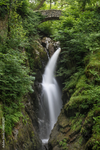 Aira Force waterfall flowing heavily surrounded by green foliage.