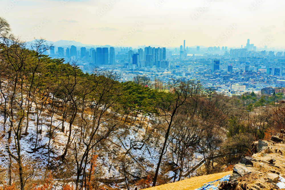 Obraz premium Namsan park view