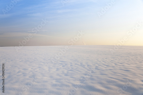 snow covered field