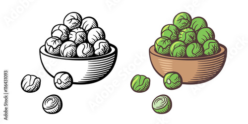 Bunch of brussels sprouts in a bowl. Vector, isolated on white. Outline and colored version