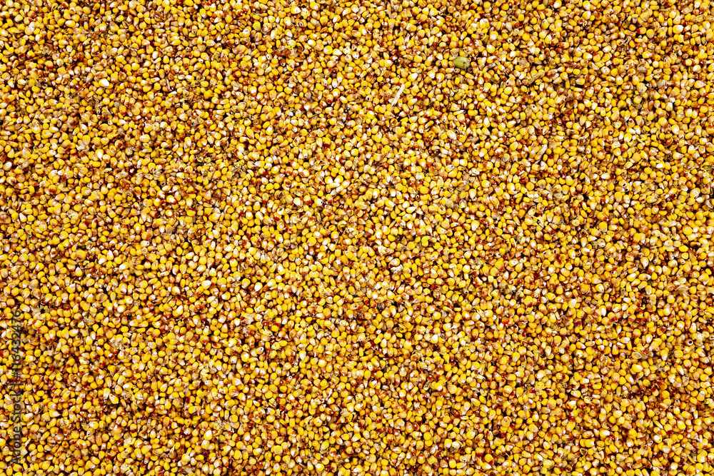 heap of corn