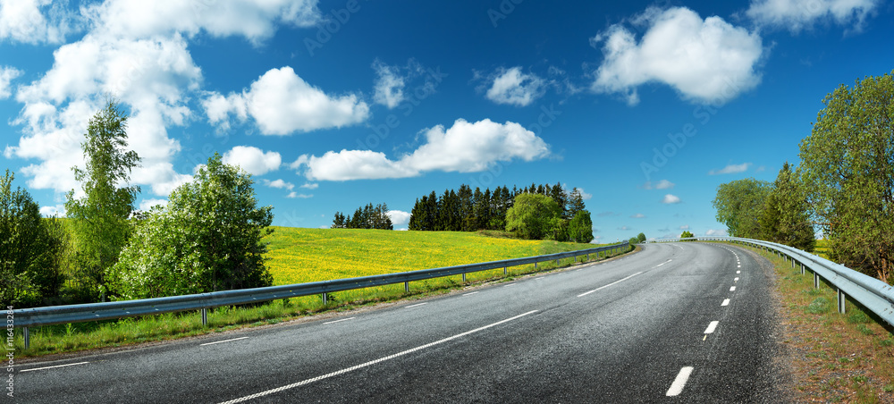 asphalt road panorama in countryside on sunny spring day - obrazy, fototapety, plakaty 
